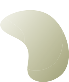 https://www.as.asokasemage.lk/wp-content/uploads/2020/08/floating_image_08.png